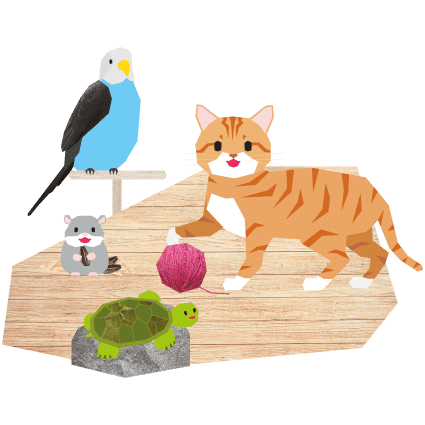 Pets Activitybox Cover Illustration